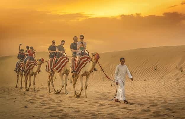 Camel team-building experience at OceanAir Travel, Al Khayma, with sunset backdrop.