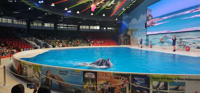 Bird Show Arena in Dubai Dolphinarium with vibrant lighting for events and performances.