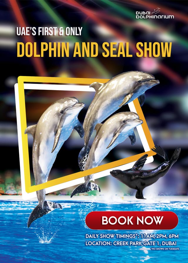 Dubai Dolphinarium Tickets | Virgin ...