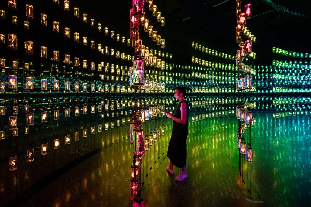 Immersive workshop area with colorful lights for unique networking events at Museum of the Future.