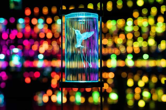 Illuminated hummingbird centerpiece in Museum of the Future workshop for upscale events.
