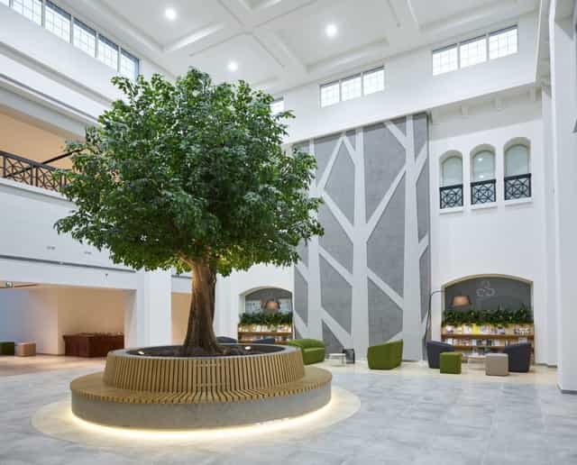 Modern Dubai event venue lobby with indoor tree, perfect for networking and gatherings.