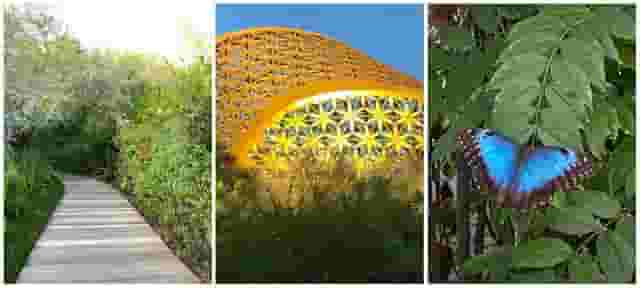 Butterfly House