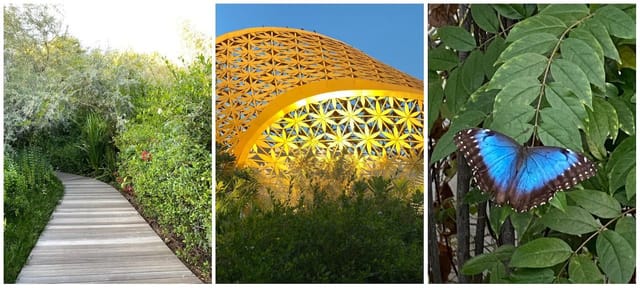 Al Noor Island & Butterfly House ...