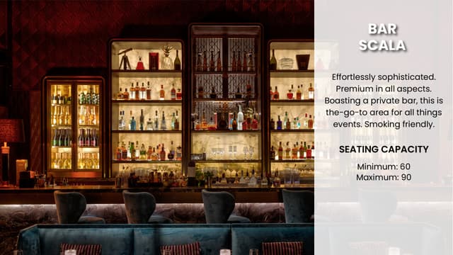 Lounge Bar