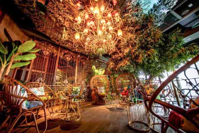 Elegant event space with rattan furniture and greenery for gatherings in Mama Zonia.