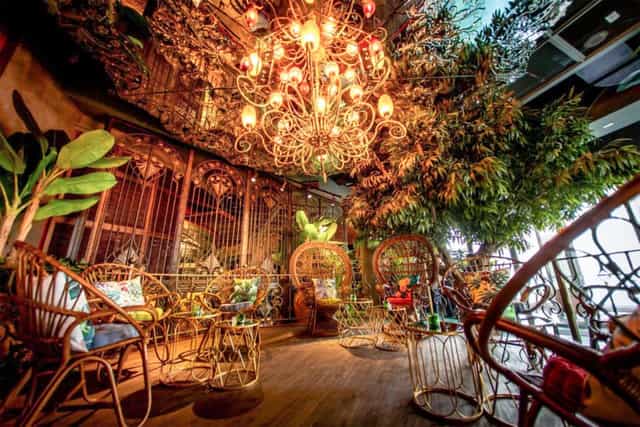 Elegant event space with rattan furniture and greenery for gatherings in Mama Zonia.