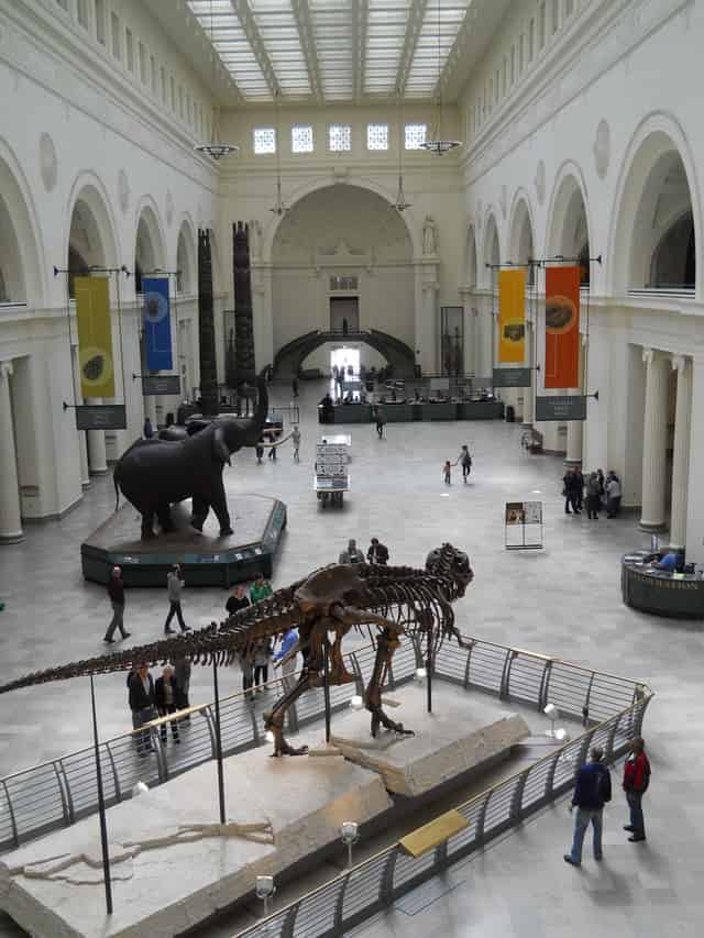 Field Museum