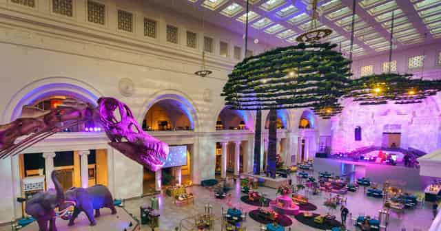 Field Museum