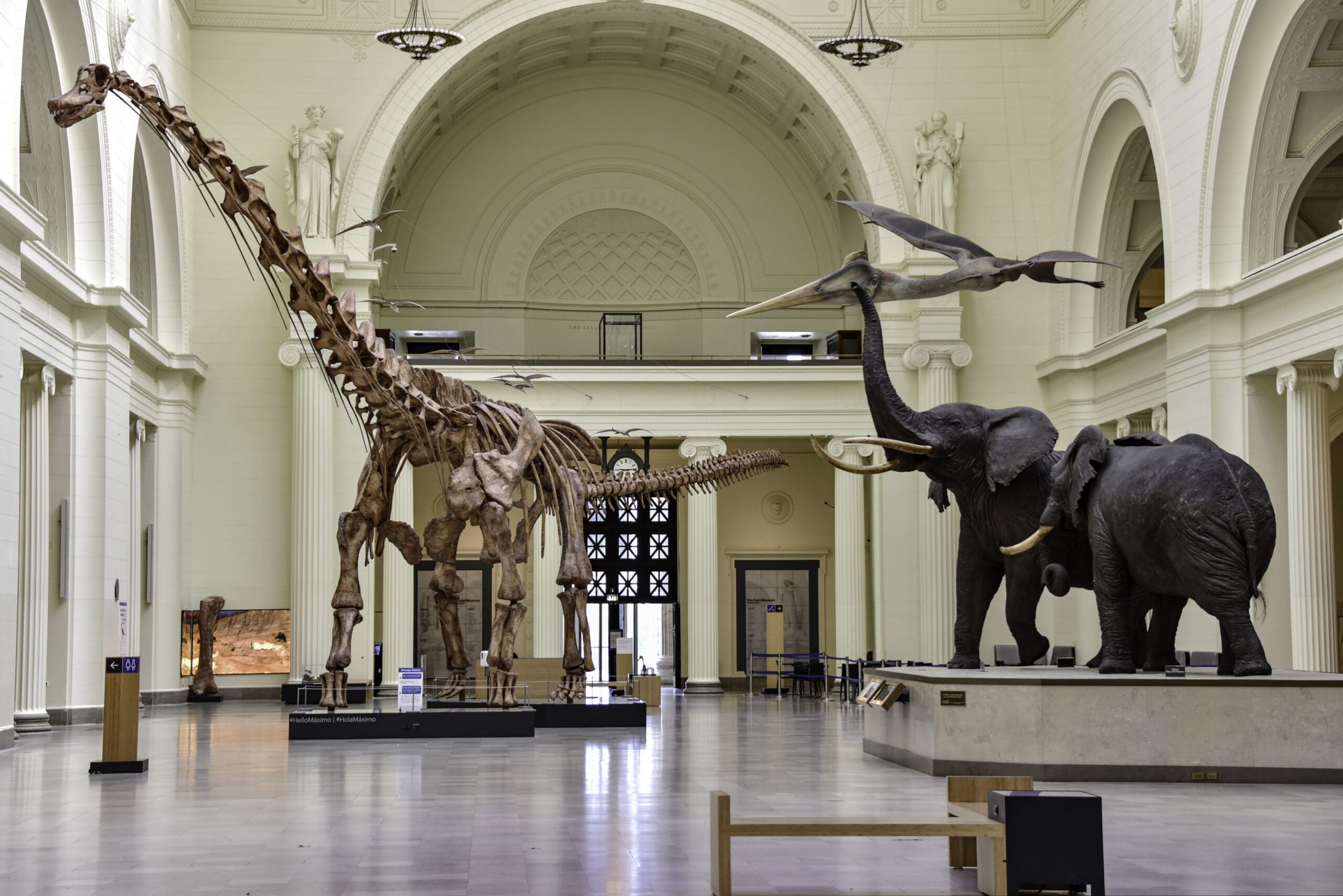 Stanley Field Hall with dinosaur skeleton, ideal for corporate events and workshops.