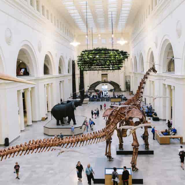 East Atrium & Pavilion at Field Museum, ideal venue for corporate events and galas.