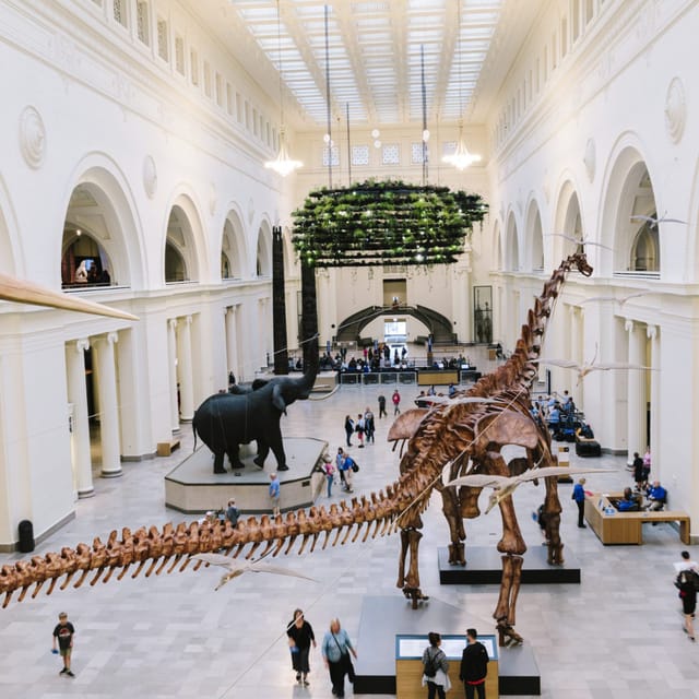 East Atrium & Pavilion at Field Museum, ideal venue for corporate events and galas.