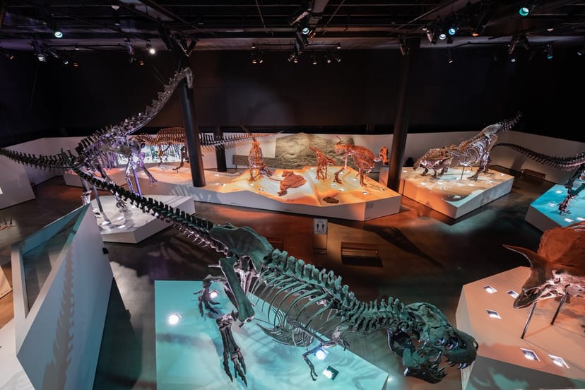 Wiess Energy Hall with dinosaur skeletons, perfect for corporate events and workshops.