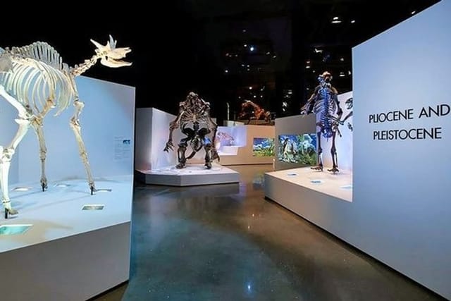 Wiess Energy Hall exhibition with prehistoric skeletons, ideal for educational events.