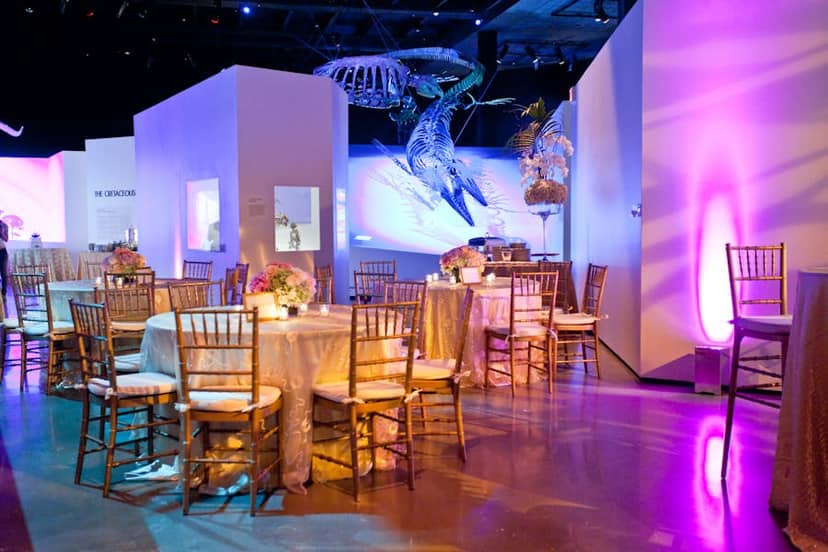 Elegant event space in Glassell Hall, Houston Museum of Natural Science for gatherings.