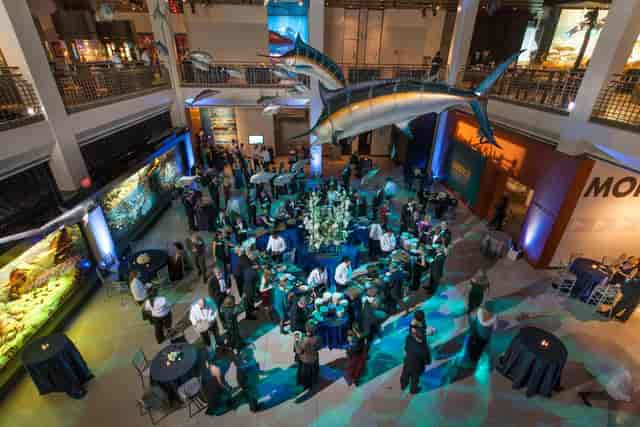 Glassell Hall event space with suspended fish decor, perfect for networking in Houston.