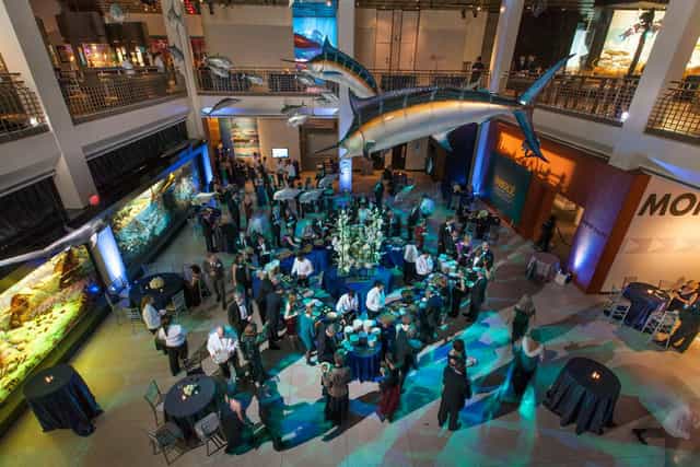 Glassell Hall event space with suspended fish decor, perfect for networking in Houston.