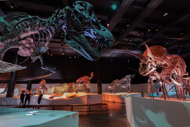 Morian Hall of Paleontology