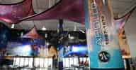 Christmas Party Venues