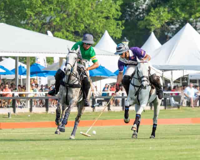 Polo match at Houston Polo Club with vibrant uniforms and lush greenery, ideal for events.