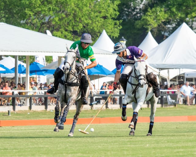 Polo match at Houston Polo Club with vibrant uniforms and lush greenery, ideal for events.