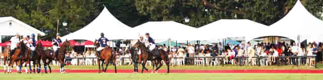 Houston Polo Club Member Grandstand at a vibrant outdoor polo event for corporate hospitality.