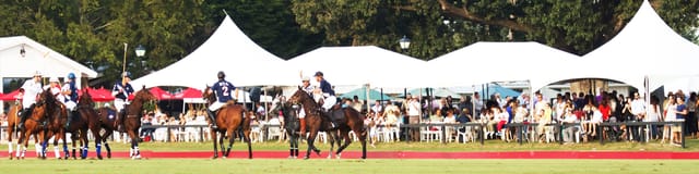 Houston Polo Club Member Grandstand at a vibrant outdoor polo event for corporate hospitality.