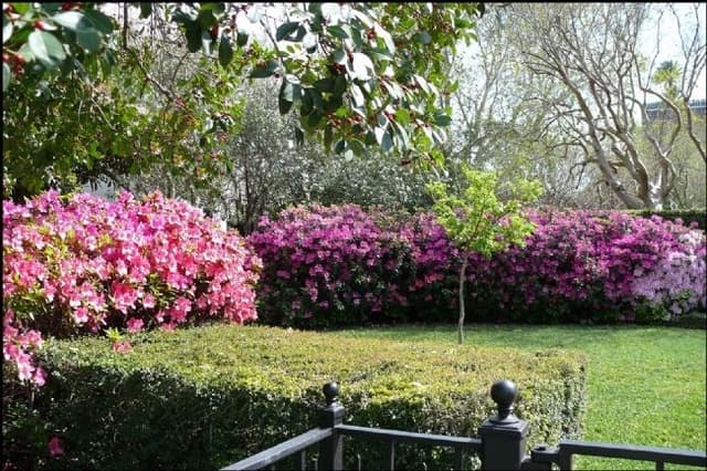 Garden Area