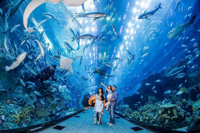 Underwater Zoo