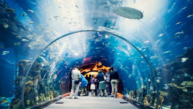 Aquarium Tunnel