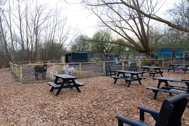 Rustic outdoor cafe with picnic tables, perfect for team-building events and retreats.