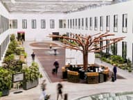 Christmas Party Venues