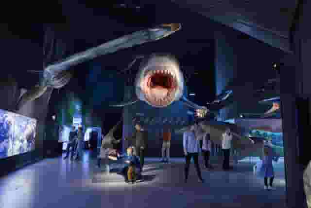 Main Aquarium Hall