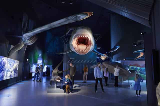 Main Aquarium Hall