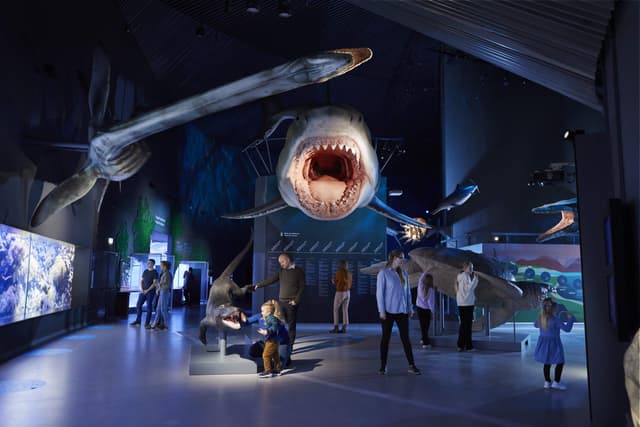 Main Aquarium Hall