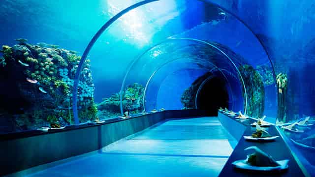 Main Aquarium Hall