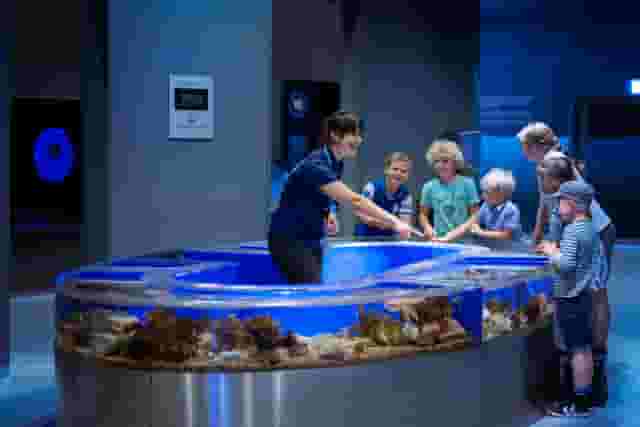 Main Aquarium Hall