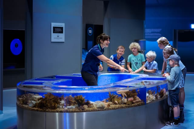 Main Aquarium Hall