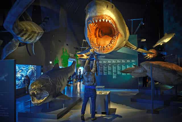 Main Aquarium Hall