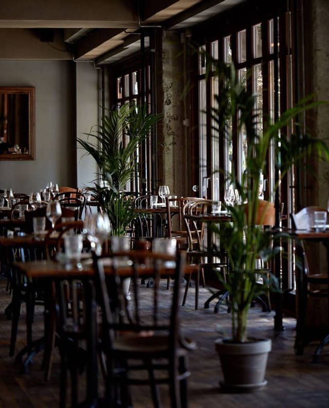 Elegant dining space at Restaurant Pluto, perfect for events and gatherings with greenery.
