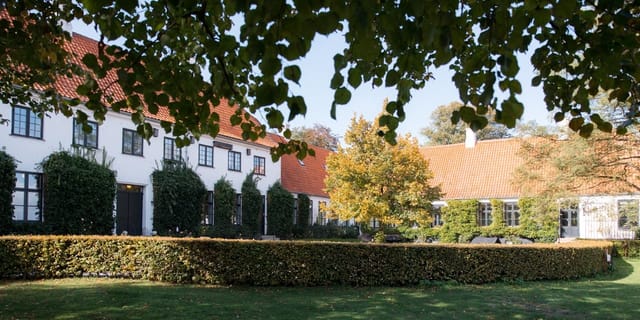 Blixen venue at The Black Diamond, lush greenery for outdoor corporate retreats.