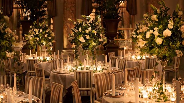 Palm Court