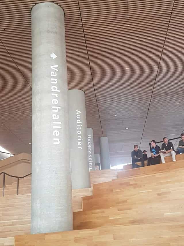 Nielsine Nielsen Auditorium, modern venue for health events, spacious design with wood accents.