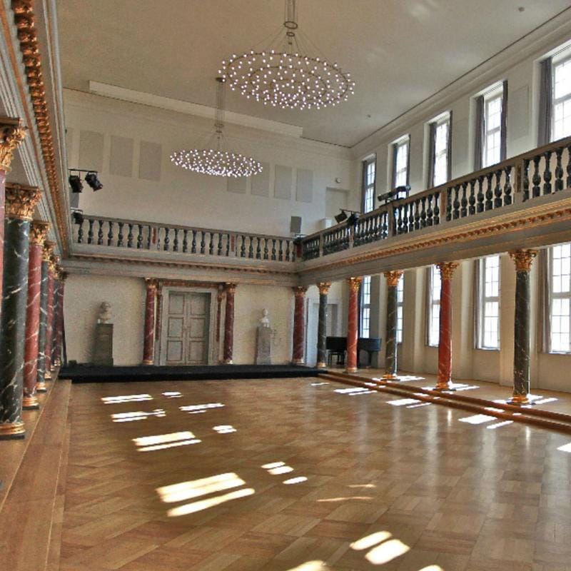 Elegant event hall at Prinsens Palæ, ideal for conferences and galas. High ceilings & natural light.