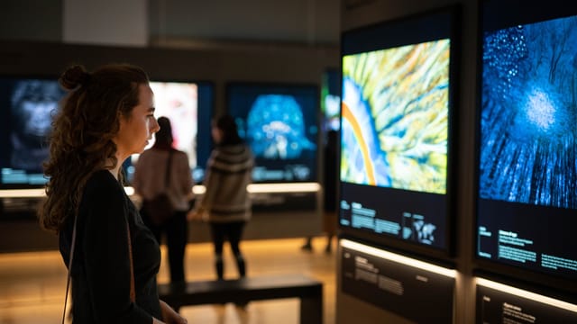 The Natural History Museum of Denmark ...