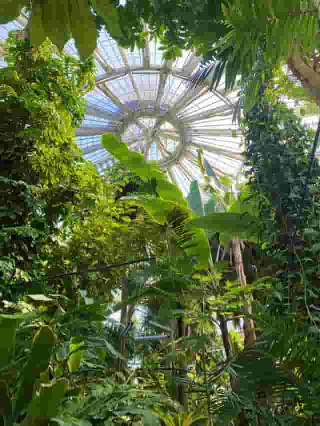Palm House Terrace