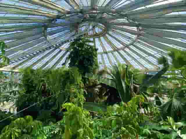 Palm House Terrace