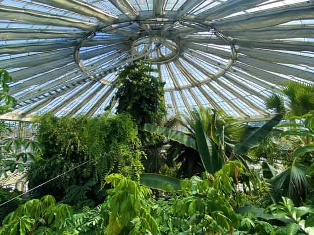 Palm House Terrace