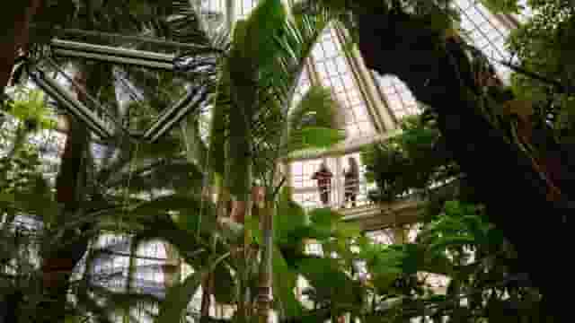 Palm House Terrace