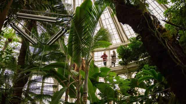 Palm House Terrace